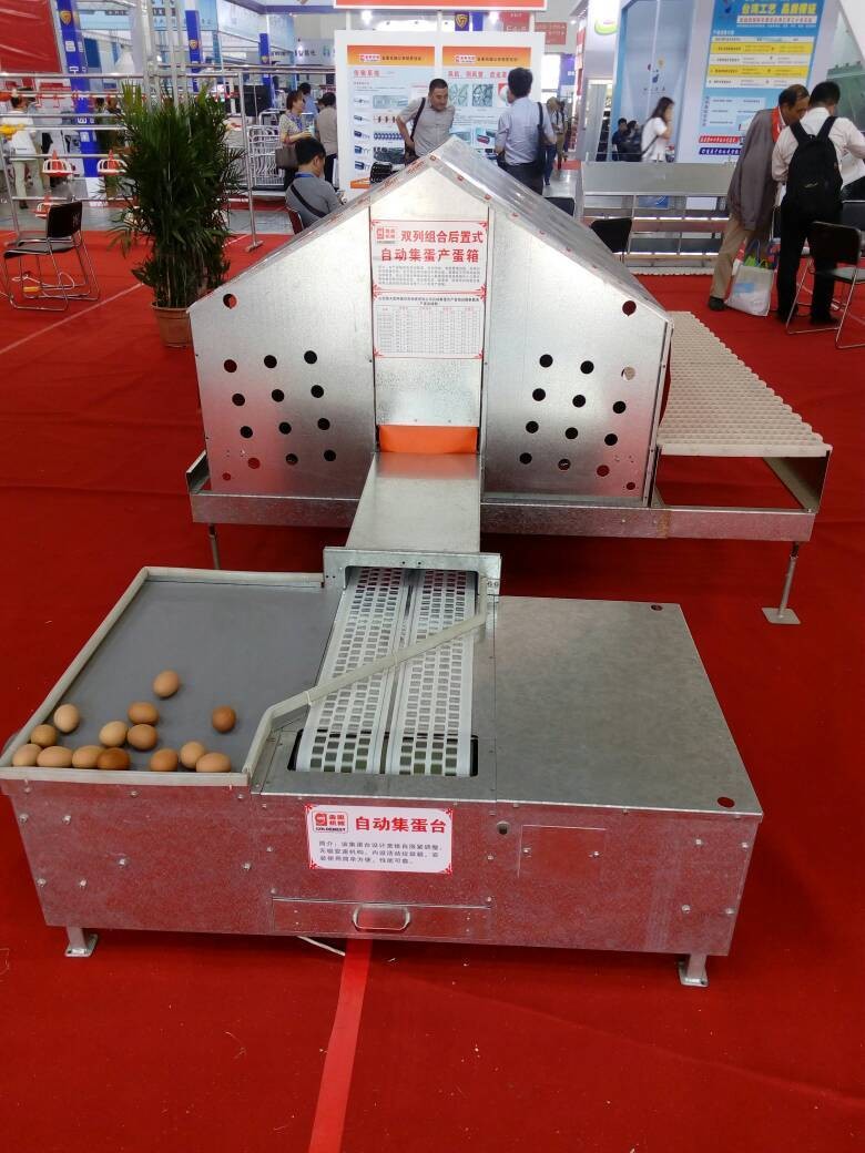 product-704-938 Goldenest Automatic bird nest / chicken nest boxes for laying hens sale