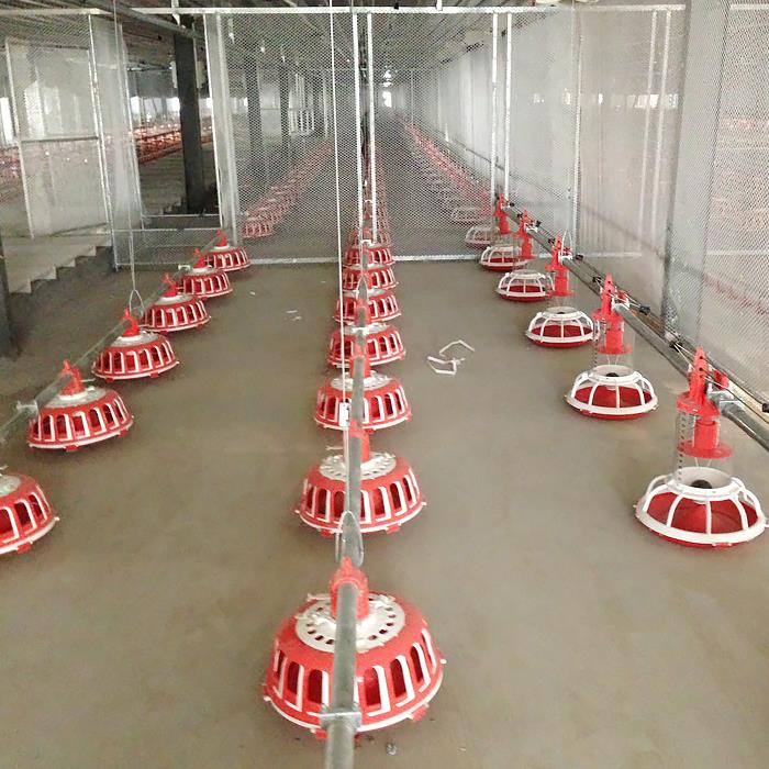 Goldenest Breeder Farming Equipment Chain Disc and OpenTrough Chain Feeding Line